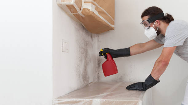 Professional Black Mold Remediation technician working in Lawrenceville, NJ