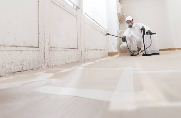24/7 Emergency Black Mold Remediation experts in Lawrenceville, NJ